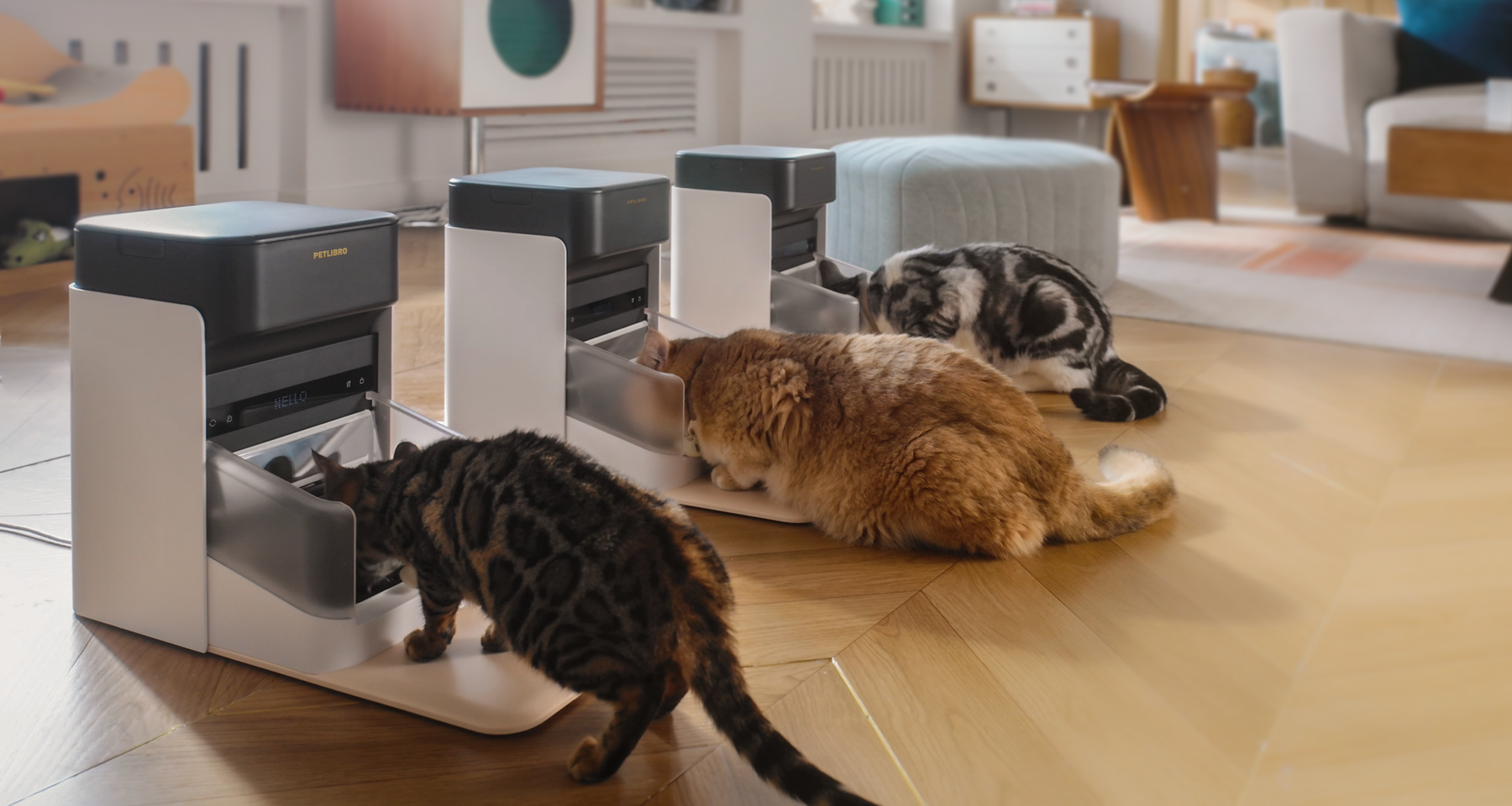 Futternapf mit Halsband 