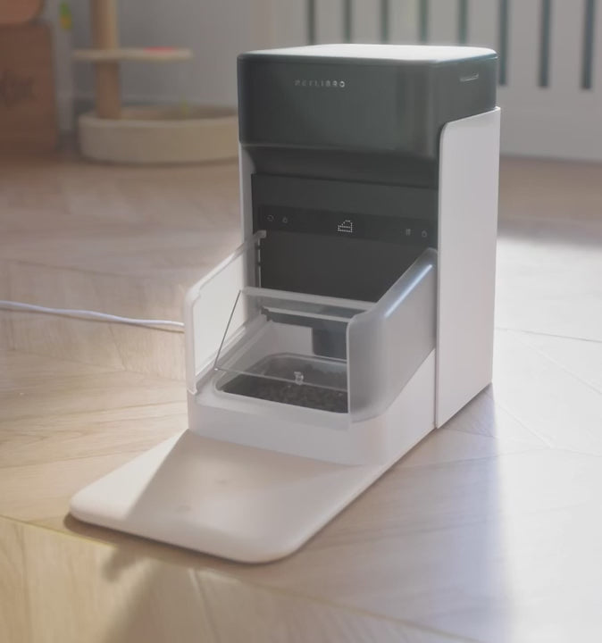 pet feeder with collar